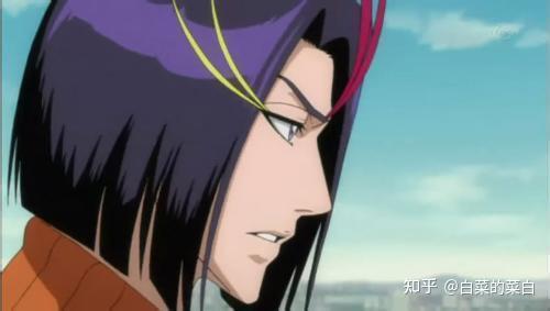 死神人物传记之那些男性副队长们