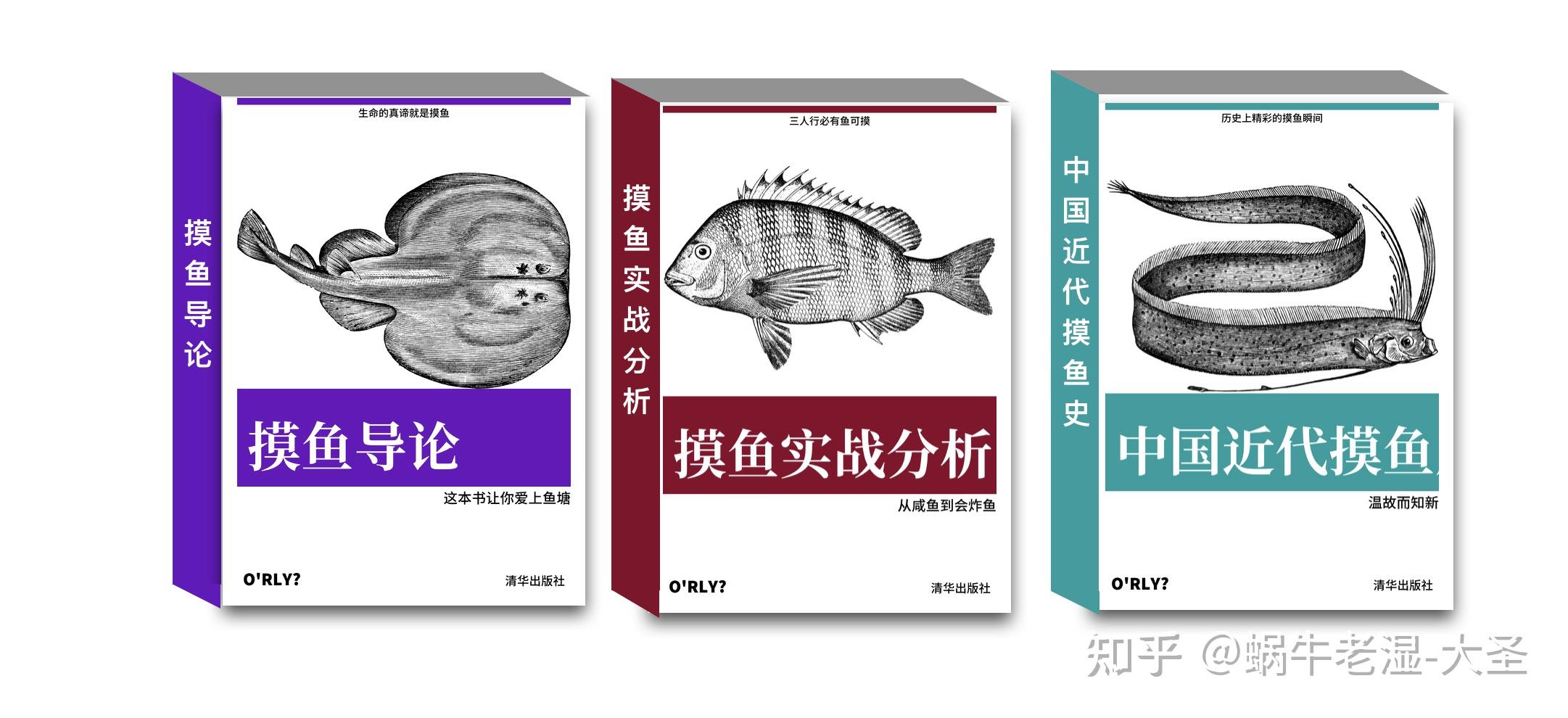 如何评价清华大学摸鱼学导论这门课程