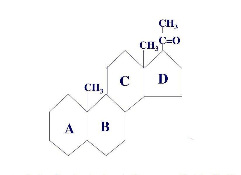 环戊烷立体构型图片