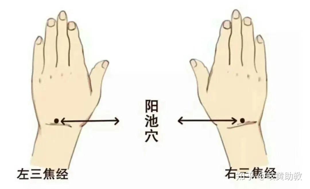 五,艾灸阳池穴—消除上肢怕冷
