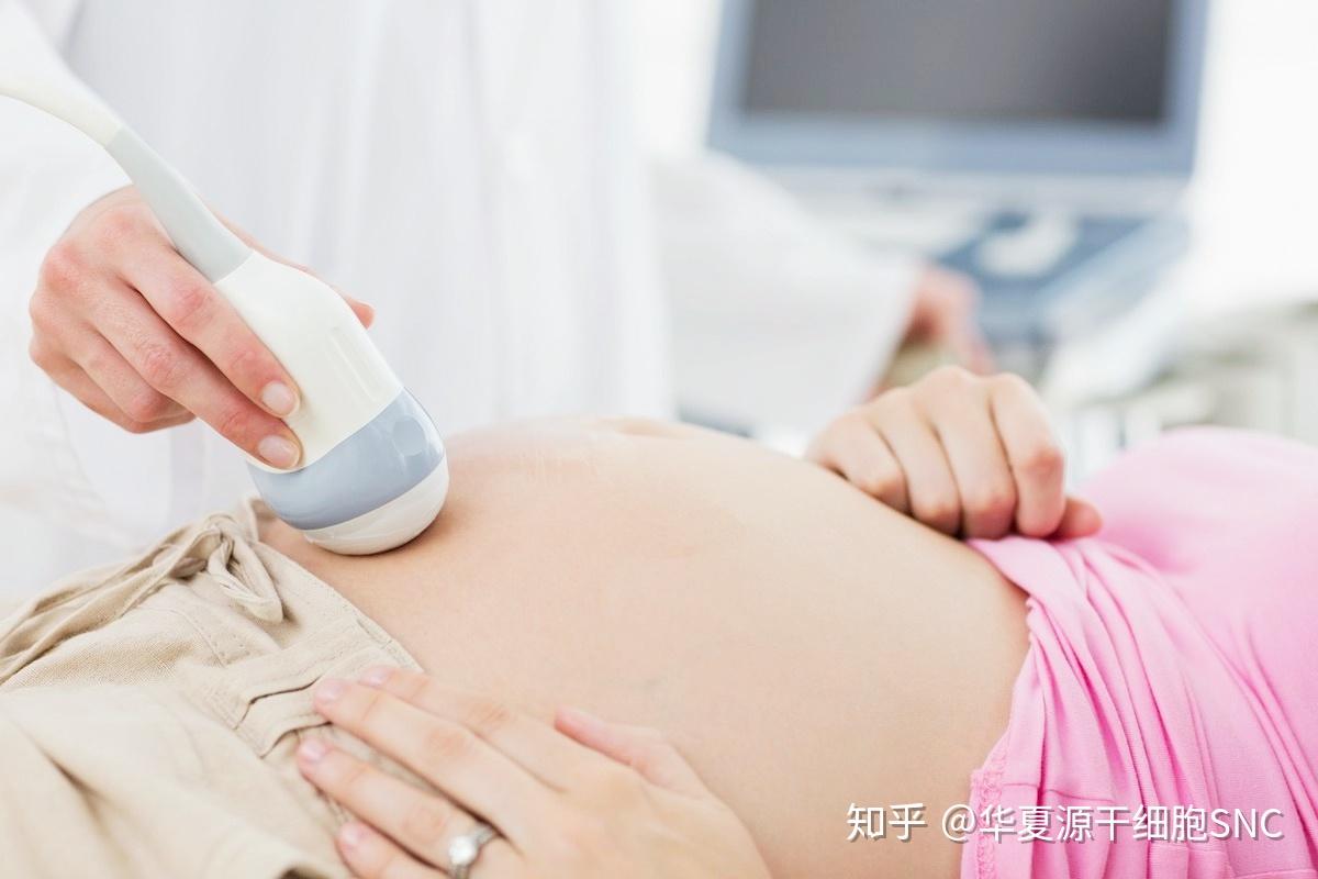孕早期胎盘低置状态1例 - 病例中心(诊疗助手) - 爱爱医医学网