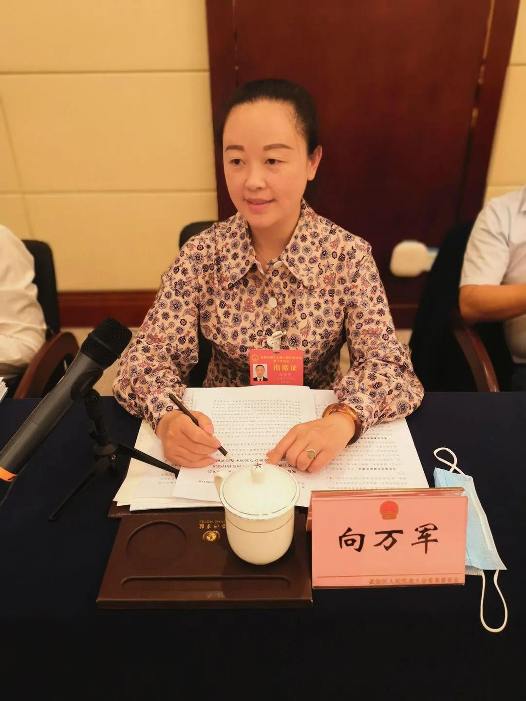 市十七届人大三次会议上武侯代言人都说了些什么