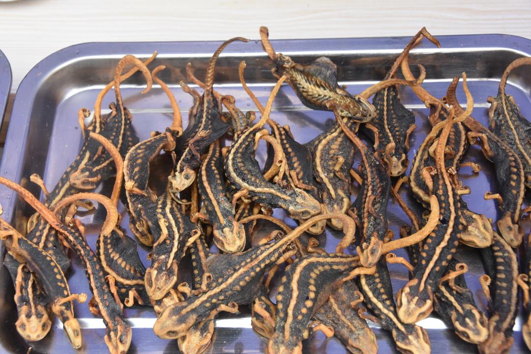 长沙国际美食加盟展之独特美食