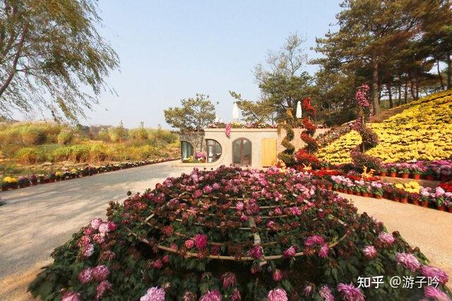 大连十大适合中老年人旅游的地方 - 知乎
