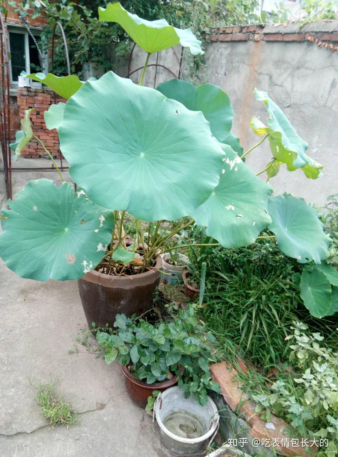 收購相機,收購鏡頭