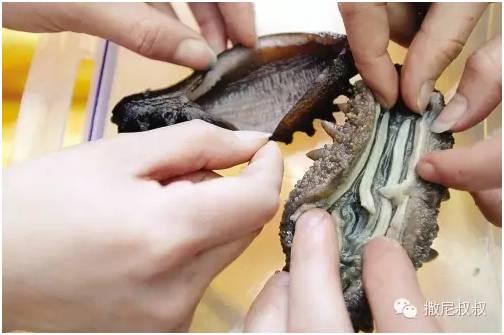一言不合就喷人一脸内脏只要你海参就好