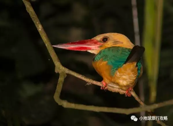 史上最好的沙巴小众旅行攻略，没有之一。