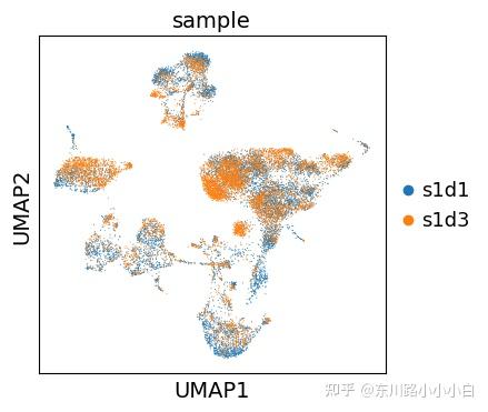 生信学习笔记——非线性降维处理UMAP - 知乎