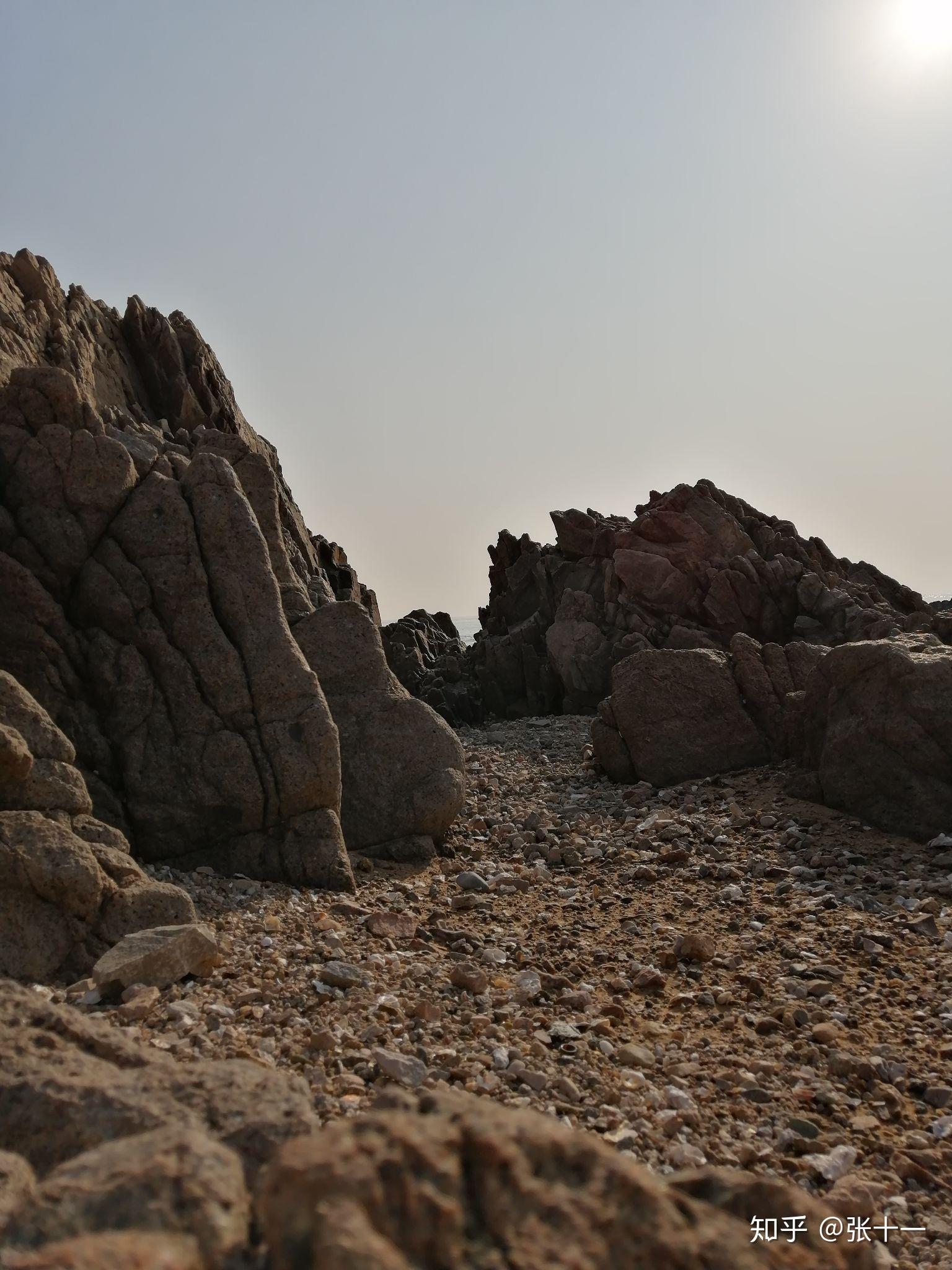 新年寄语 - 知乎