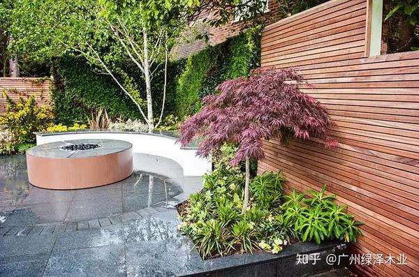 10个“庭院花园”设计案例,网友直呼:美炸了 - 知乎