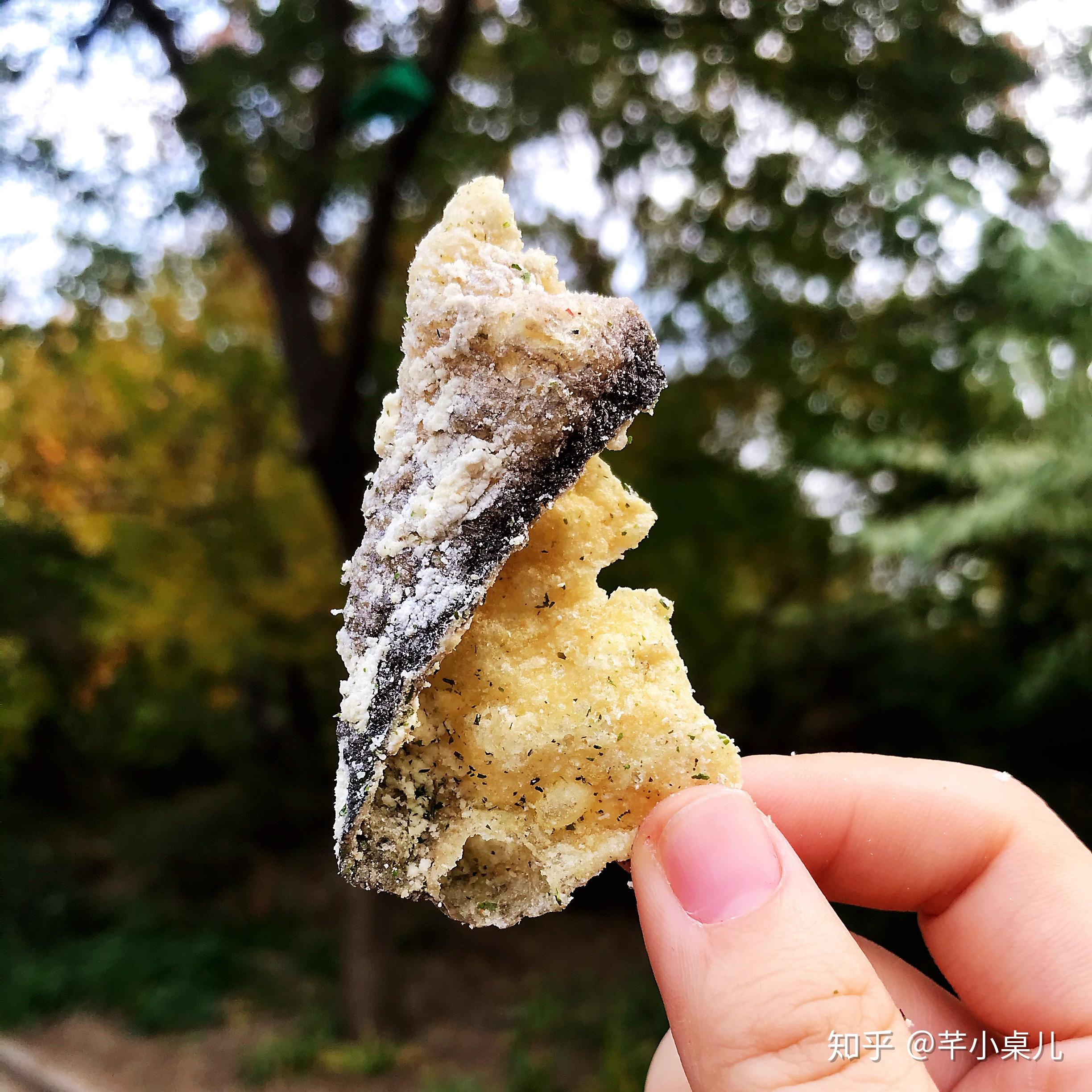 什么时候种小香葱最合适 v2-75401172a8f318285340dfacaac97032_r.jpg