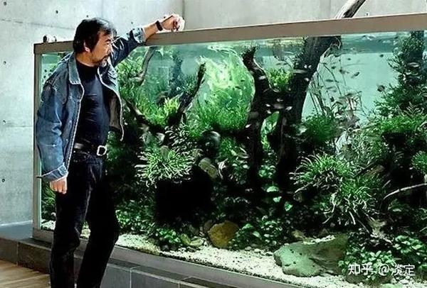 短鲷缸_短鲷缸设置_短鲷缸造景