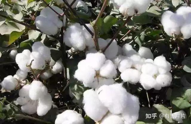 了解家居时尚的幕后英雄——家纺面料知识