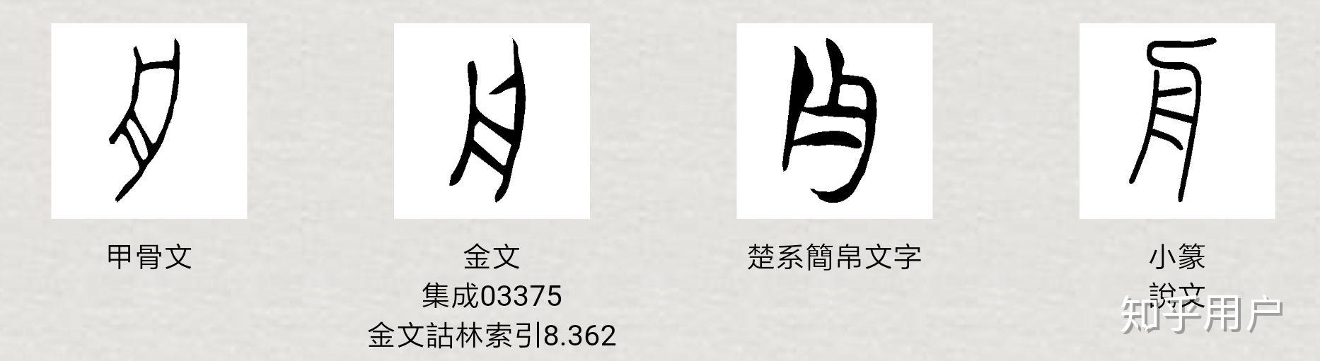 游與遊有何分別? - 知乎