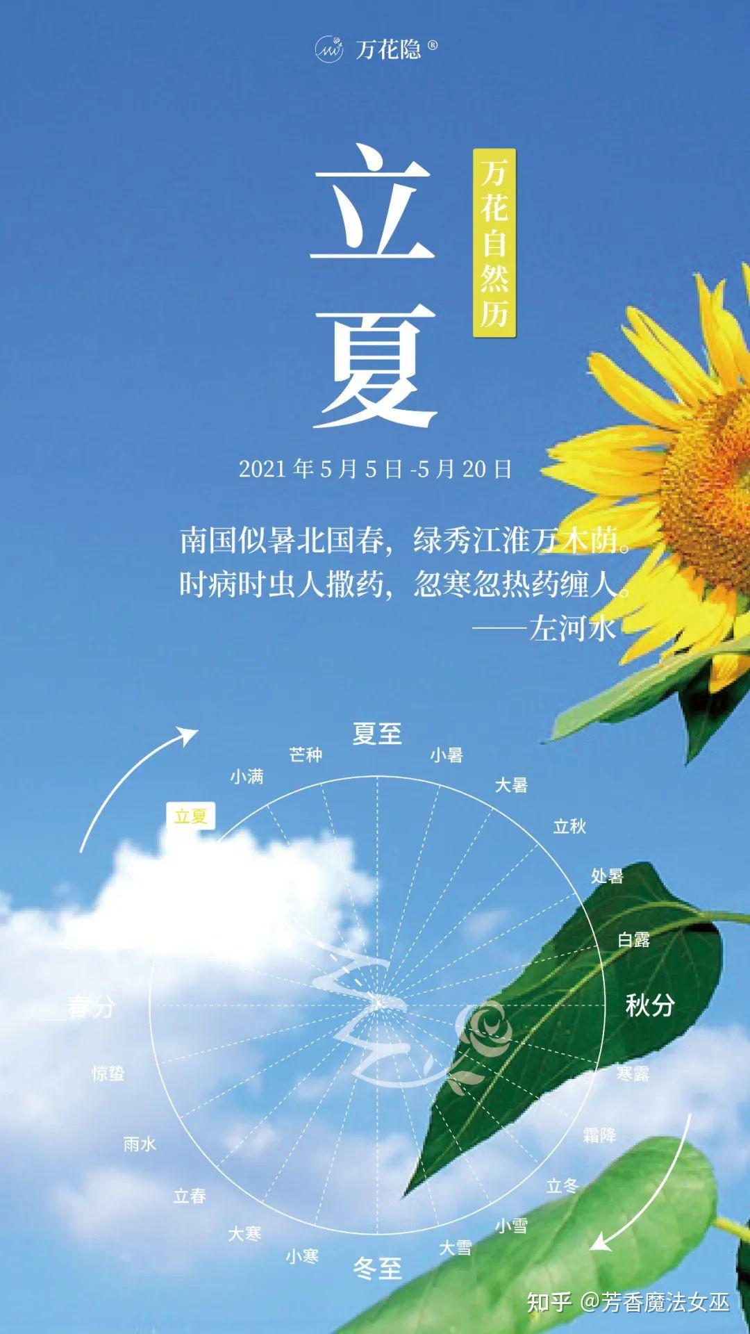 立夏节气详解中系芳疗探源