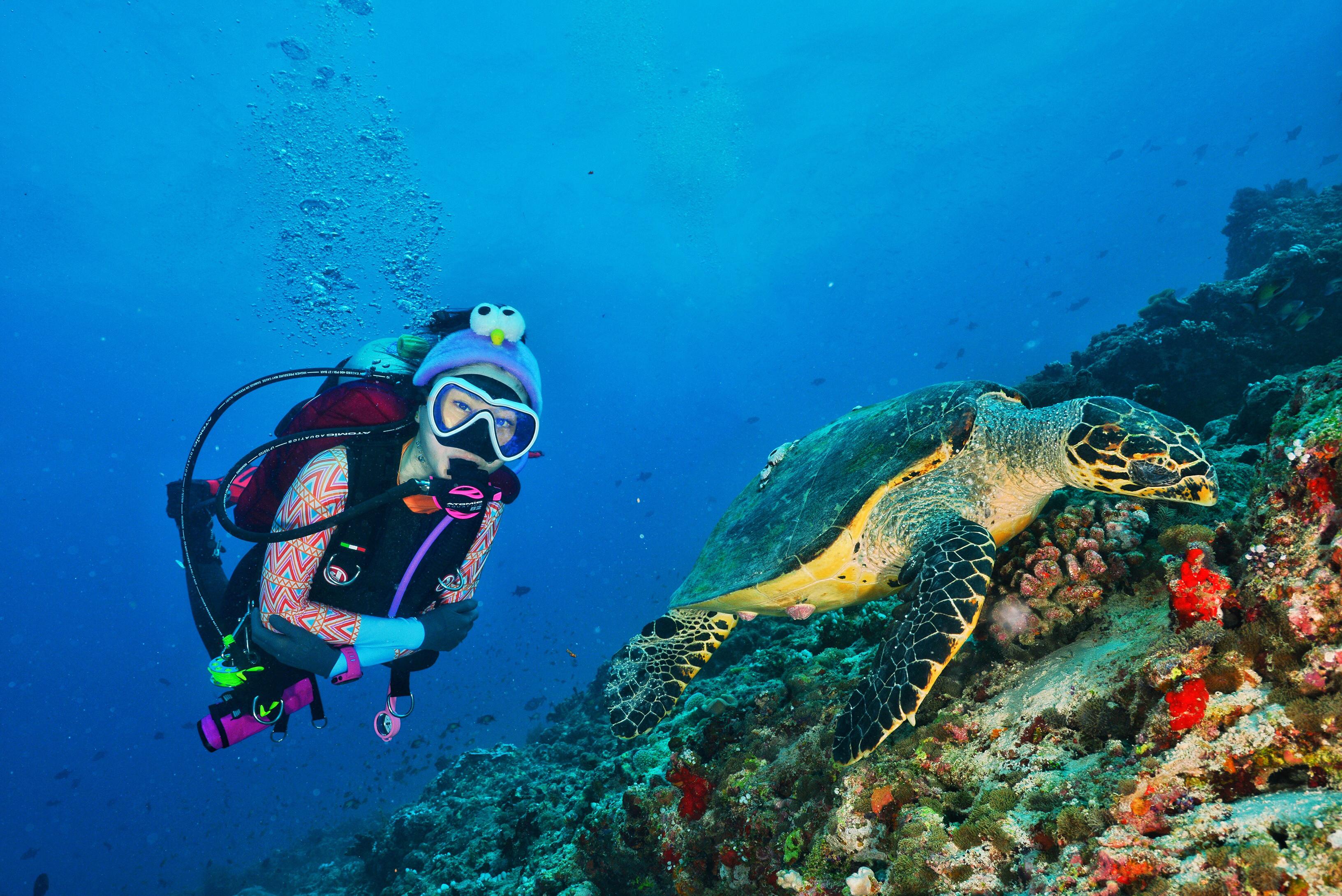 船宿带你看大鱼马尔代夫新玩法