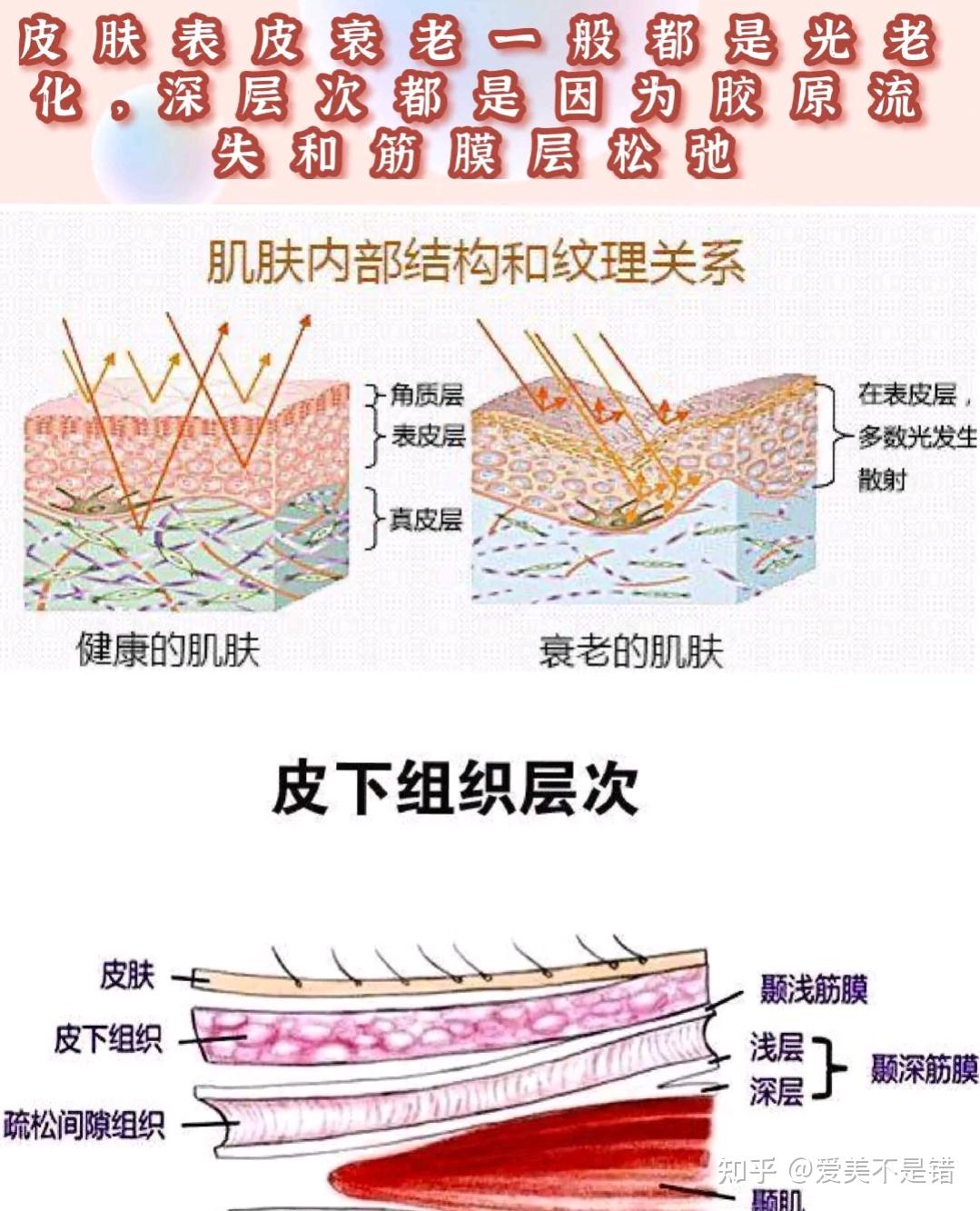 像水光针,微针都属于中胚层疗法,是可以直接到皮肤真皮层的,像热玛吉