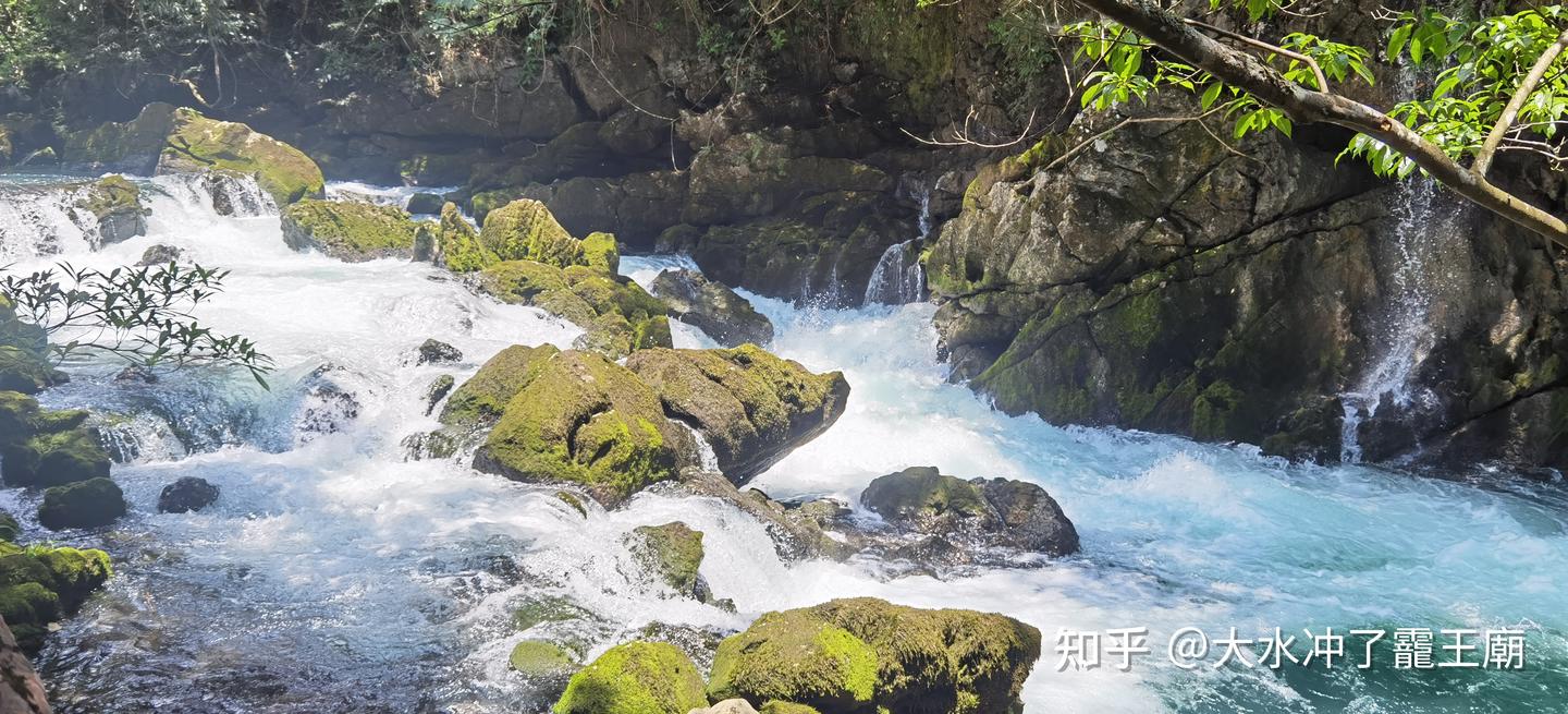 贵州荔波茂兰，一个颜值超高却又非常小众的景区！ - 知乎