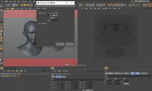 c4d中什么是uv纹理以及如何展uv