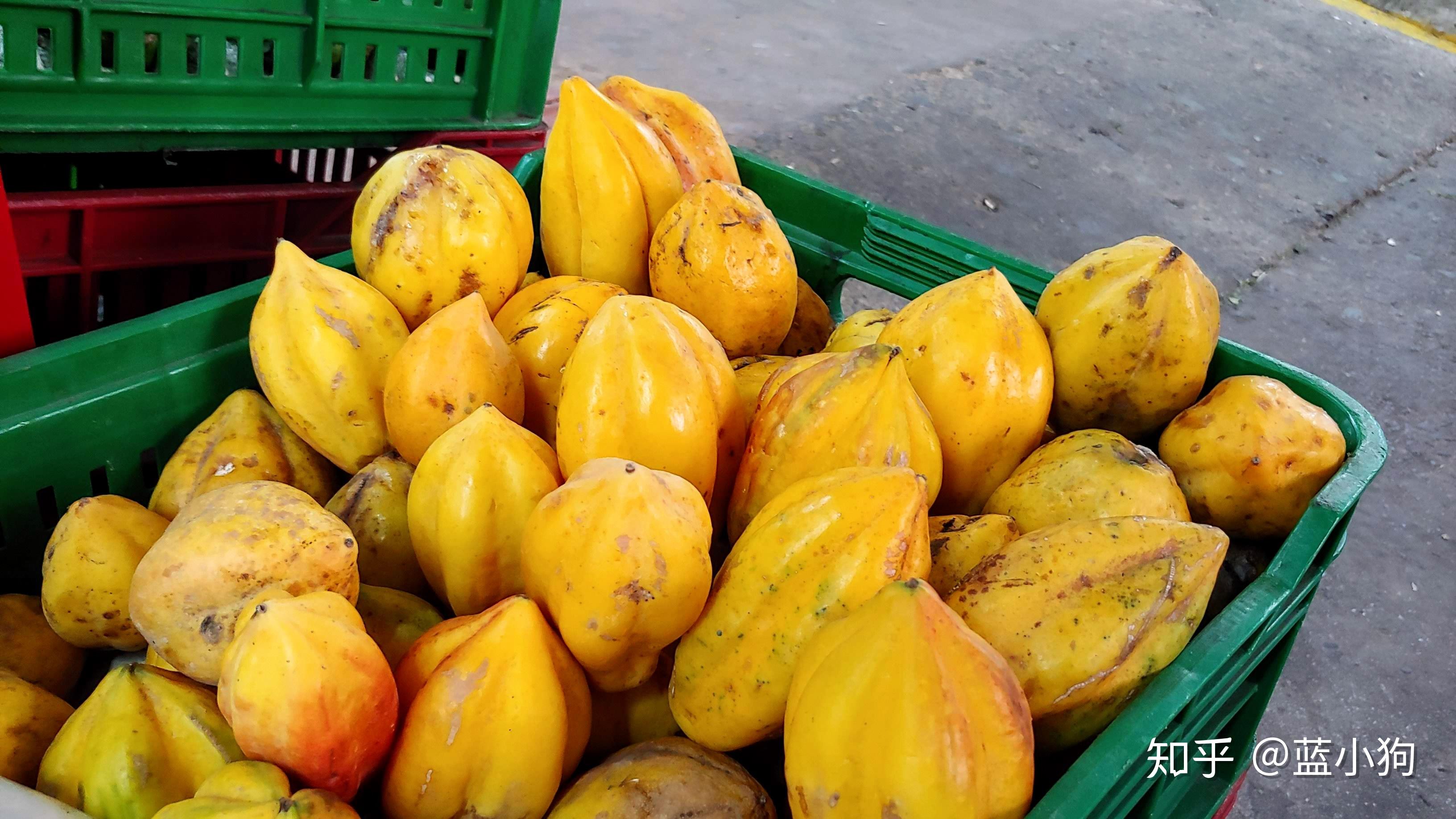 千奇百怪的南美水果(2) - 知乎