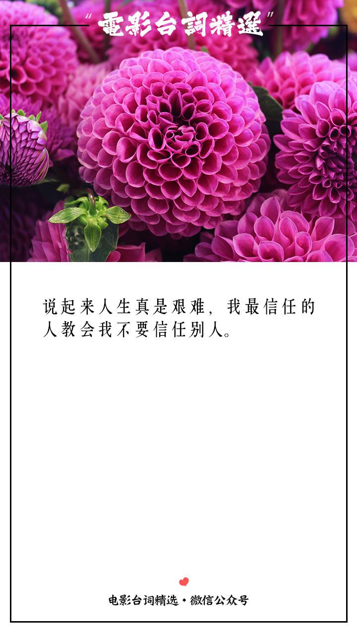 经典语录晚安句子
