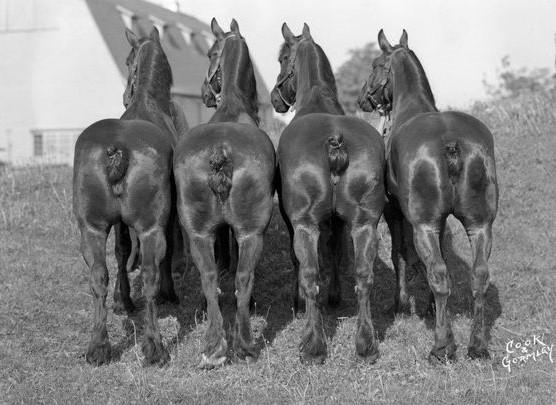 考虑隧道的宽度。谁能想到火箭的直径居然跟马屁股有着千丝万缕的关系。