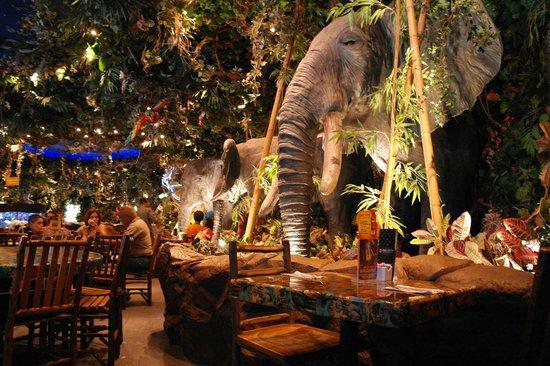 沉浸式并不新鲜90年代的rainforestcafe雨林餐厅已经沉浸了