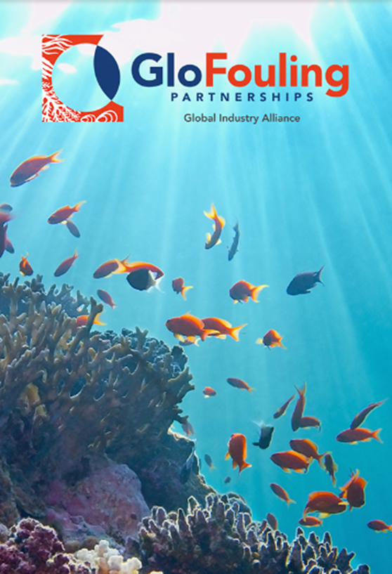 概述了2024年完整工作计划,以支持国际海事组织保护海洋生物多样性和