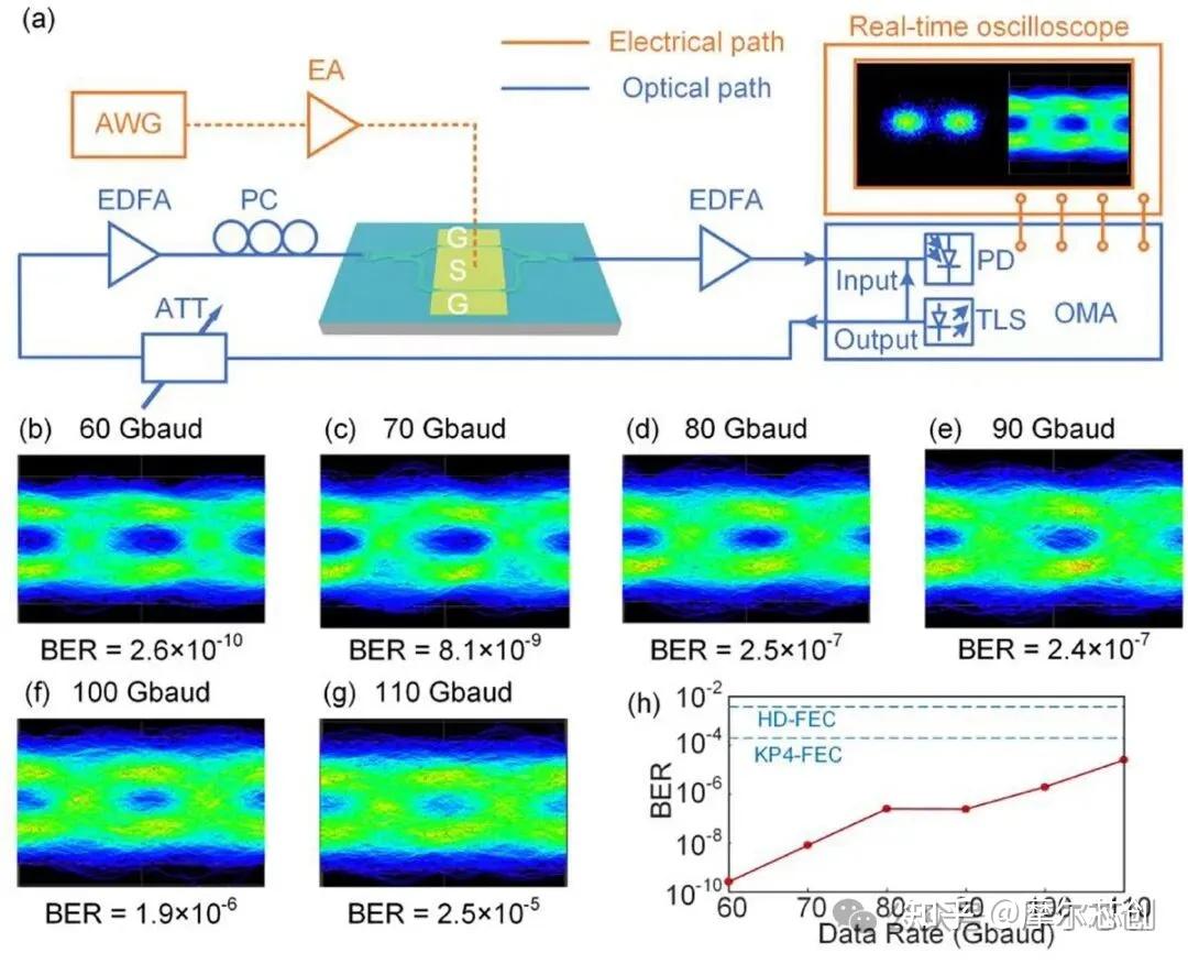Lumerical案例 | 一种超高效率集成等离子体铌酸锂电光马赫-曾德尔调制器的图5