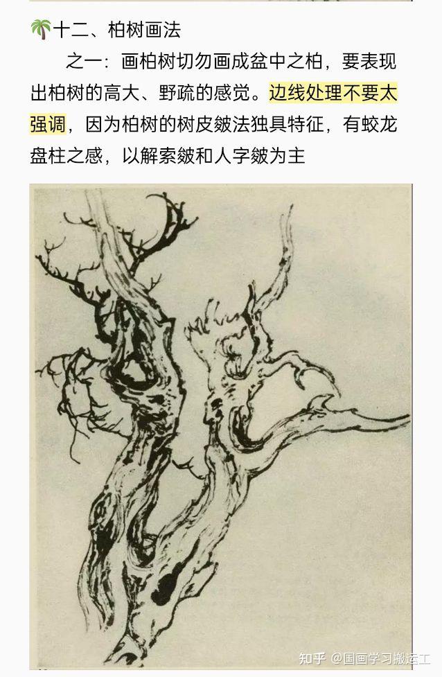 国画基础教程:树的画法(三)