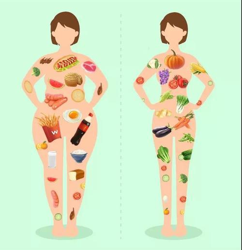 胖与瘦的对比照片图片