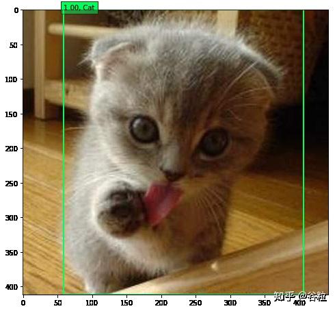 SSD 目标检测 Keras版