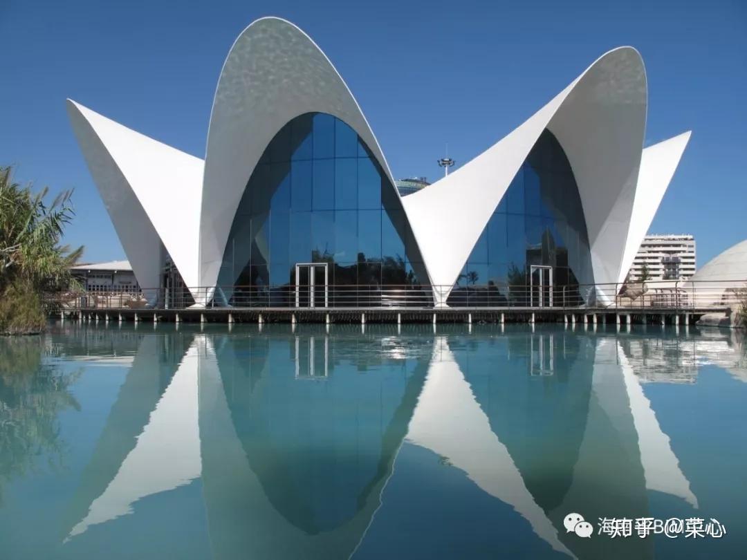 【bim教学】海南省bim中心-revit中生成双曲抛物面结构