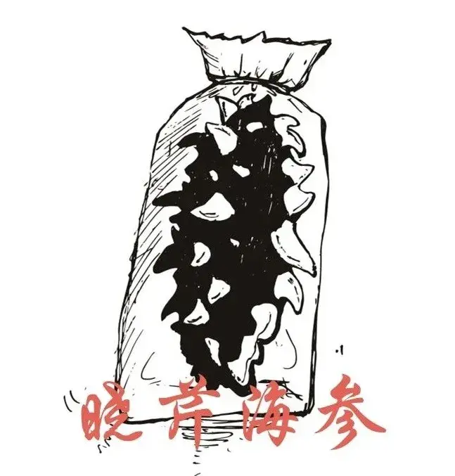 晓芹教您发海参干海参