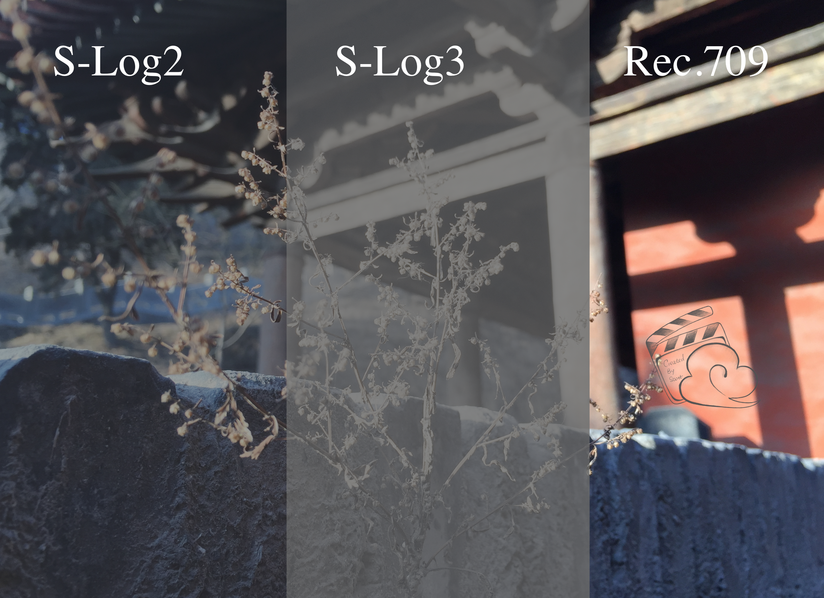 调色名词浅析--相机的 Log 模式