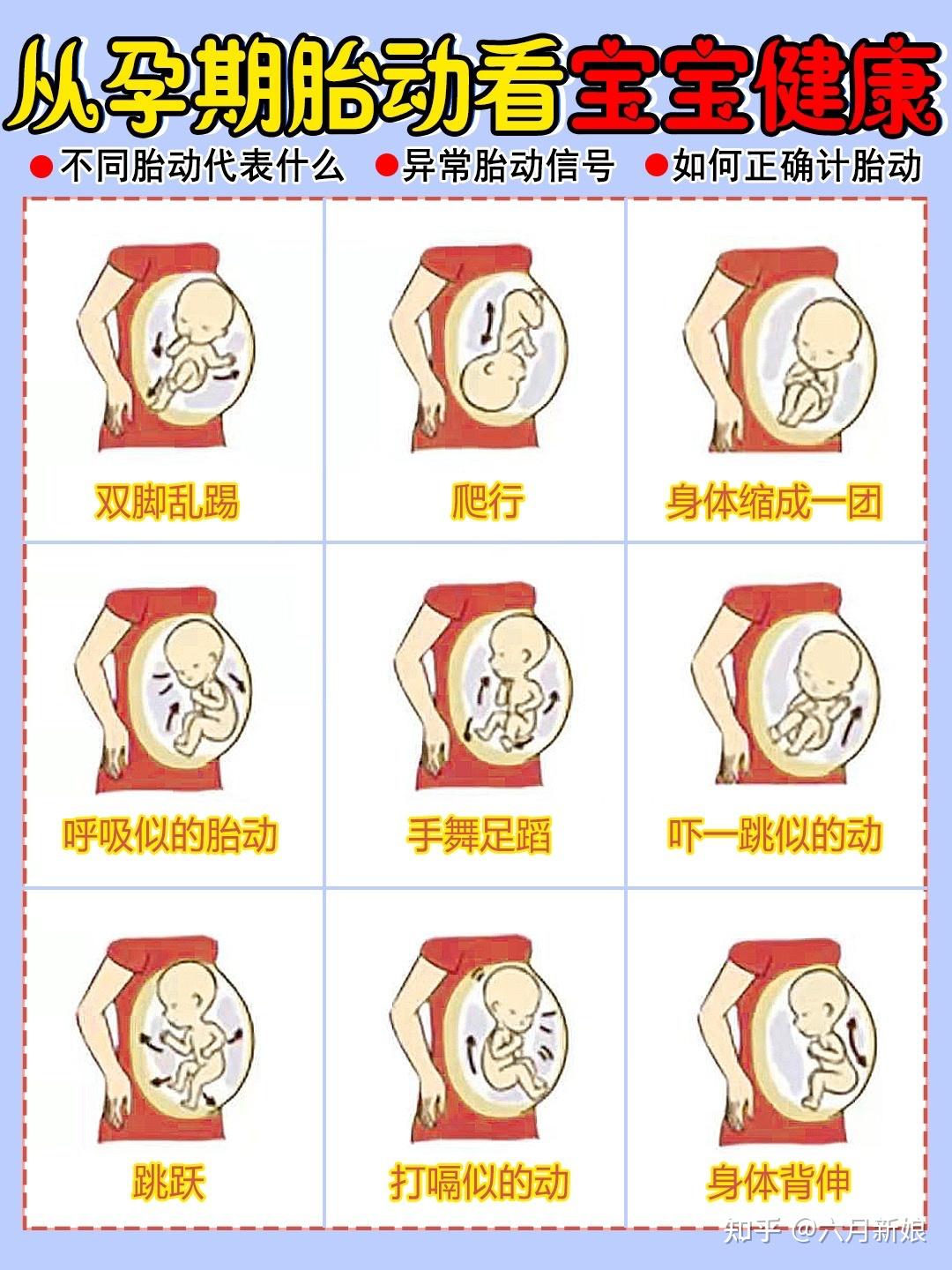 孕妈一定要知道的胎动知识！异常胎动表现 - 知乎