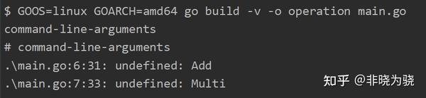 Go Build失败，报方法undefined - 知乎