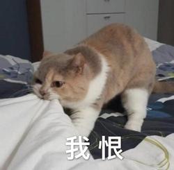 无法触碰的掌心全章节(《无法触碰的掌心》太会了吧!被囚禁的美少年和摸不到他们的你) 第5张 无法触碰的掌心全章节(《无法触碰的掌心》太会了吧!被囚禁的美少年和摸不到他们的你) 第5张