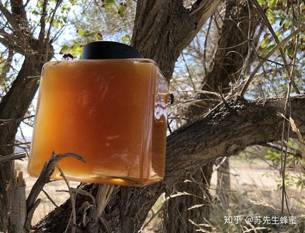 橄榄泡蜂蜜作用与功效蜂蜜泡橄榄的做法大全原来这么简单