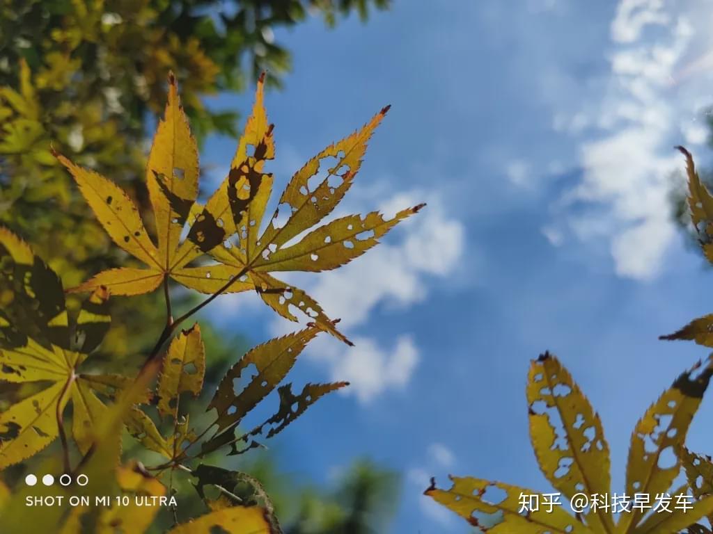 欣赏几张小米10至尊版直出样张,这画面纯净度和细腻画质非常爽.