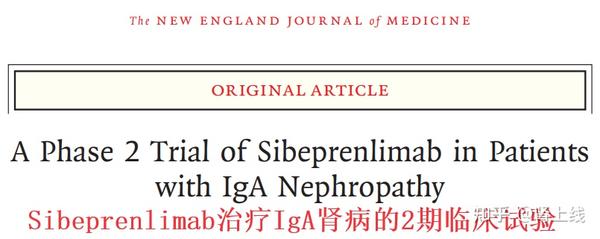 重磅：Sibeprenlimab治疗IgA肾病，II期临床试验结果太棒了！III期临床已启动 - 知乎