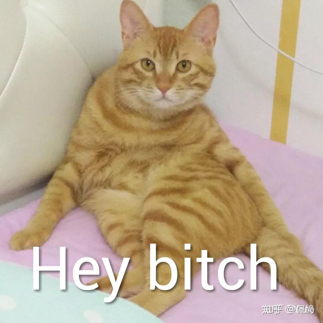 绝地求生里面杀队友的人是什么心态啊?