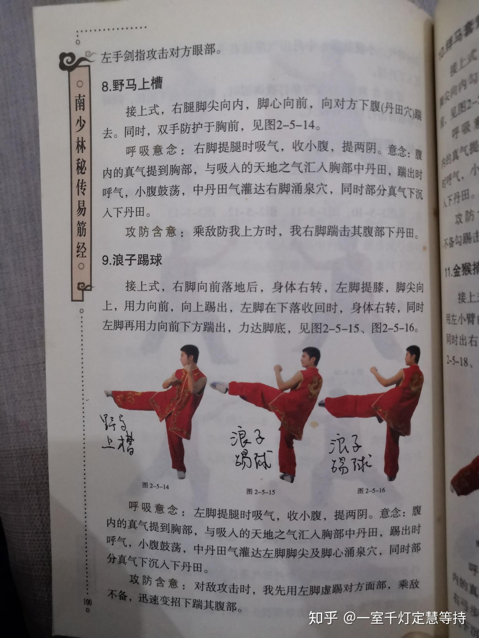 南少林易经筋练气拳 