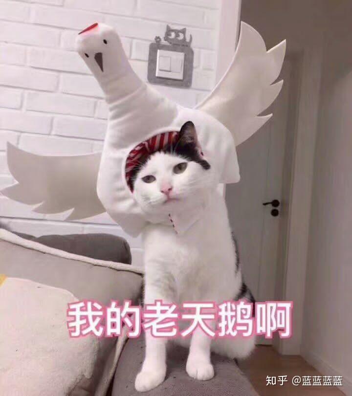 网上买护肤品真的好吗?怎么看真假啊?