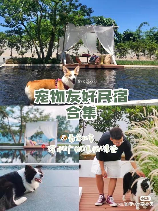 和它一起诗和远方，盘点 40 + 对宠物开放的旅游景点与民宿 - 知乎