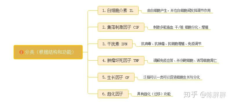 划重点!《医学免疫学:细胞因子》