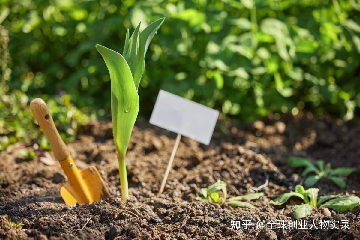 3.12植树节 | 这篇绿色的推文“植”得一看 - 知乎