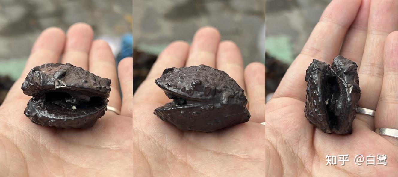 埃及褐铁矿及其他