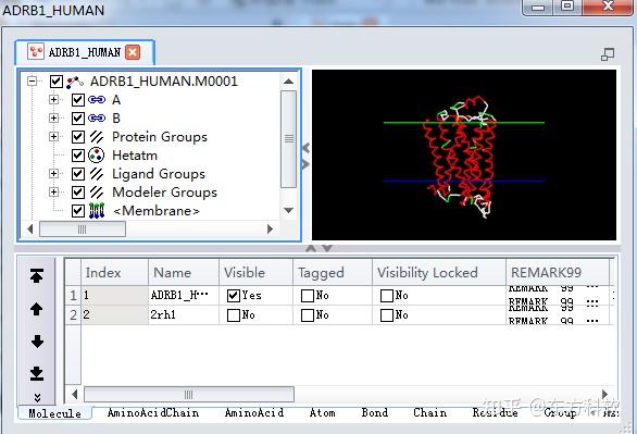 Discovery Studio官方教程（Help-Tutorials） 基于MODELER构建膜蛋白模型 - 知乎