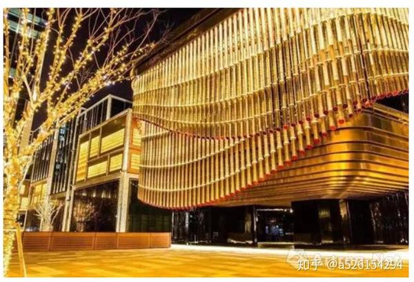 å¤æ˜ŸåŸºé‡'ä¼šä¸»å¸­çŽ‹æ´¥å…ƒ é¡ºåŠ¿è€Œä¸ºåœ°ç»